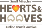 Get Ready For Our Annual Online Benefit Auction